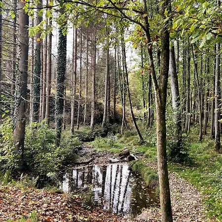 Apartment Forest Retreat- Serene 160m2 With Forest Views