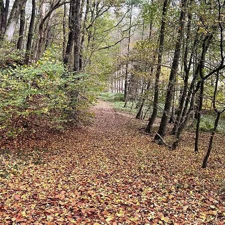 Apartment Forest Retreat- Serene 160m2 With Forest Views Wermelskirchen