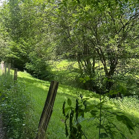 Forest Retreat- Serene 160m2 With Forest Views *