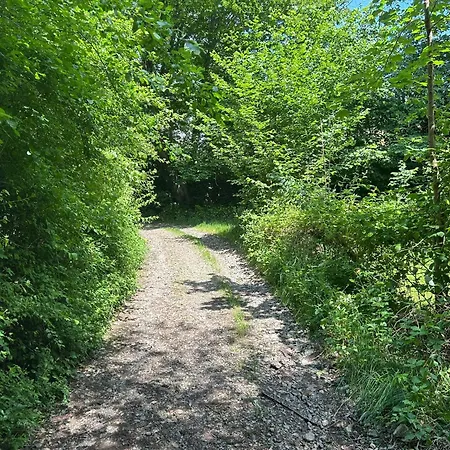 Forest Retreat Nature Nahe Koeln- 160 M2, 2 Schlafzimmer Und Blick Ins Naturschutzgebiet ורמלסקירכן