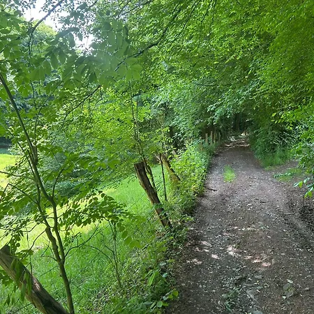 דירה Forest Retreat Nature Nahe Koeln- 160 M2, 2 Schlafzimmer Und Blick Ins Naturschutzgebiet