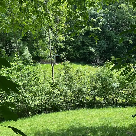 Forest Retreat- Serene 160m2 With Forest Views Apartment Wermelskirchen
