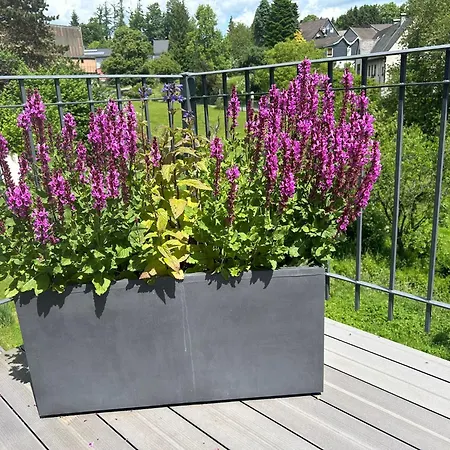 Forest Retreat Nature Nahe Koeln- 160 M2, 2 Schlafzimmer Und Blick Ins Naturschutzgebiet דירה *