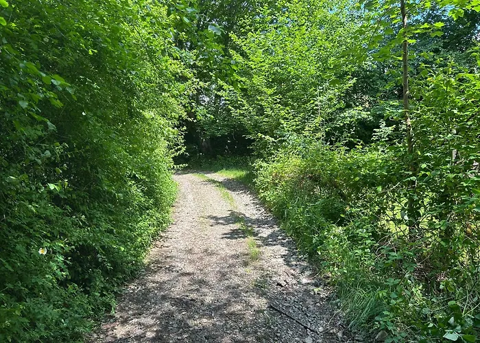 Forest Retreat Nahe Koeln- 160 M2, 2 Schlafzimmer, Wallbox Und Blick Ins Naturschutzgebiet Wermelskirchen