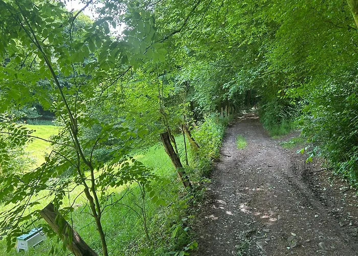 Διαμέρισμα Forest Retreat Nahe Koeln- 160 M2, 2 Schlafzimmer, Wallbox Und Blick Ins Naturschutzgebiet