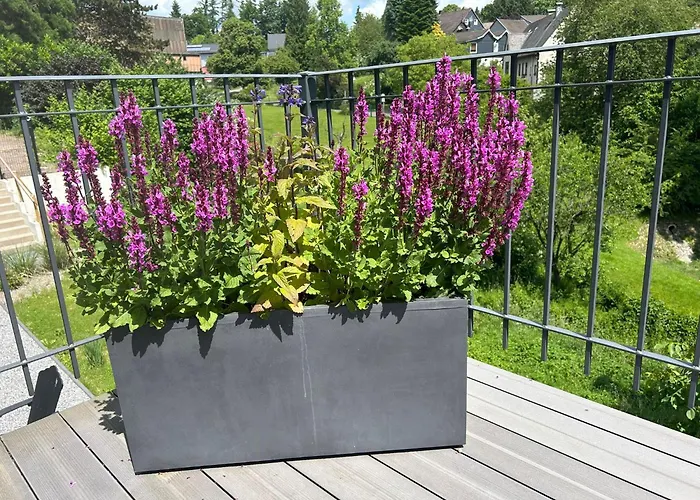 Forest Retreat Nature Nahe Koeln- 160 M2, 2 Schlafzimmer Und Blick Ins Naturschutzgebiet Appartamento *